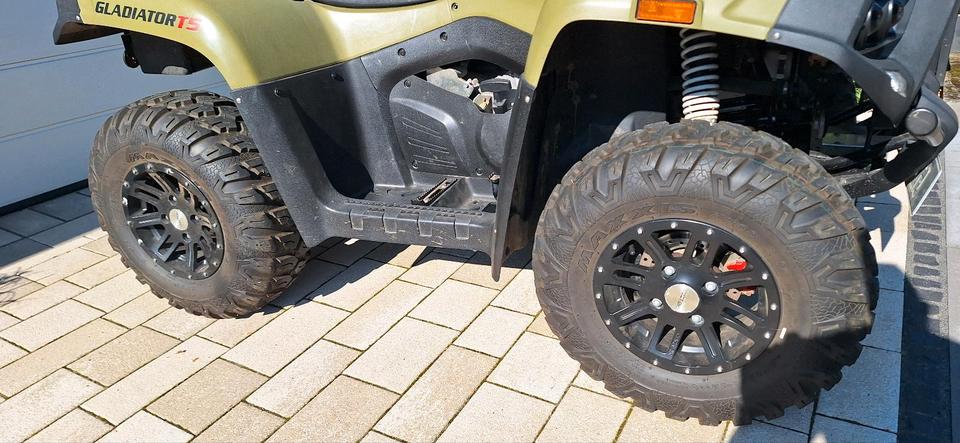 Weitere Motorräder ATV Cectek Gladiator T5 2015 — photo 6