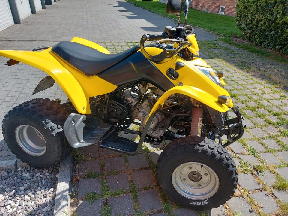Kymco Quad KXR 250 2007 — rear view