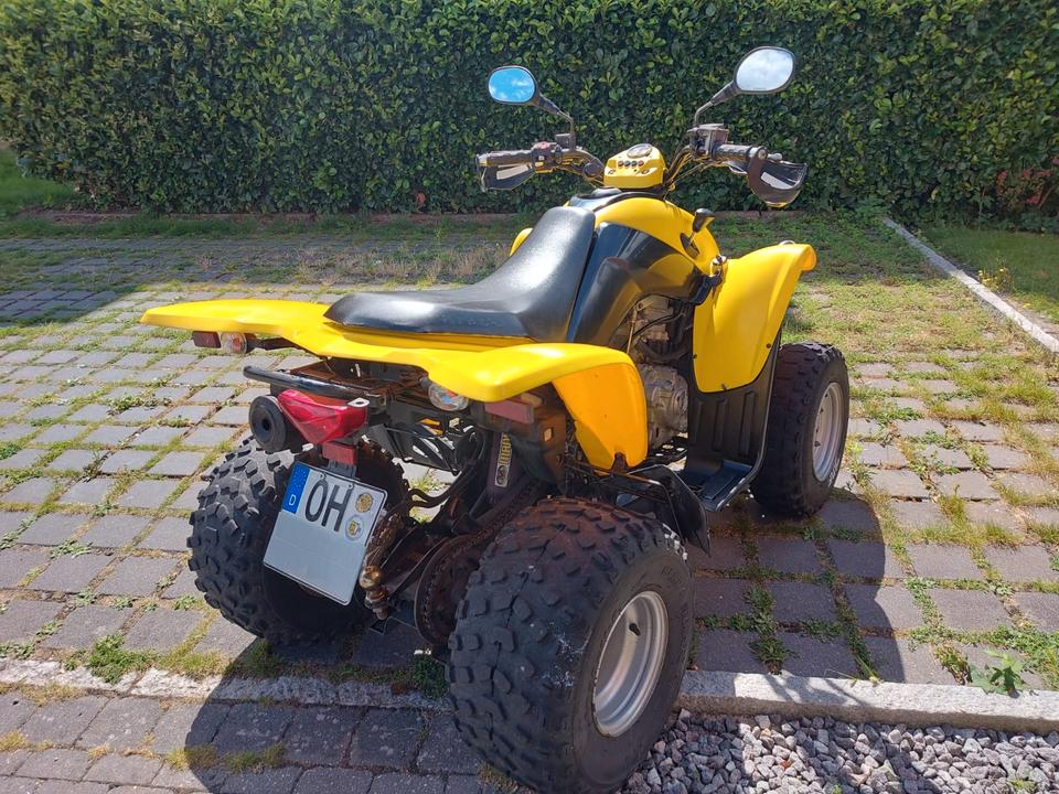 Kymco Quad KXR 250 2007 — interior
