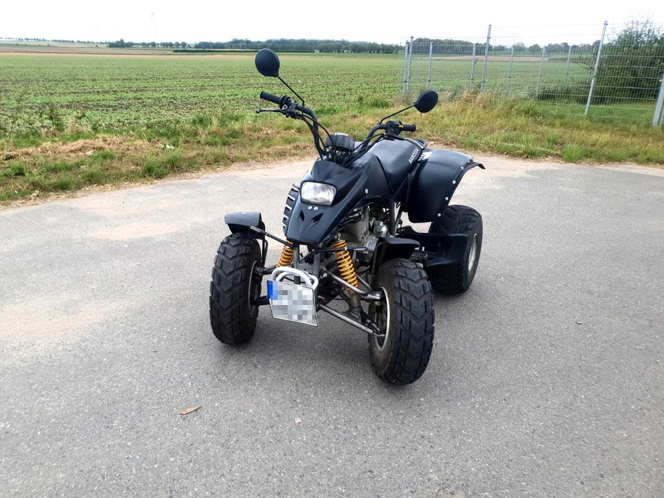  Zuverlässiges Einsteiger‑Quad: SMC Barossa 170 in schwarz - Quad 2004 — rear view