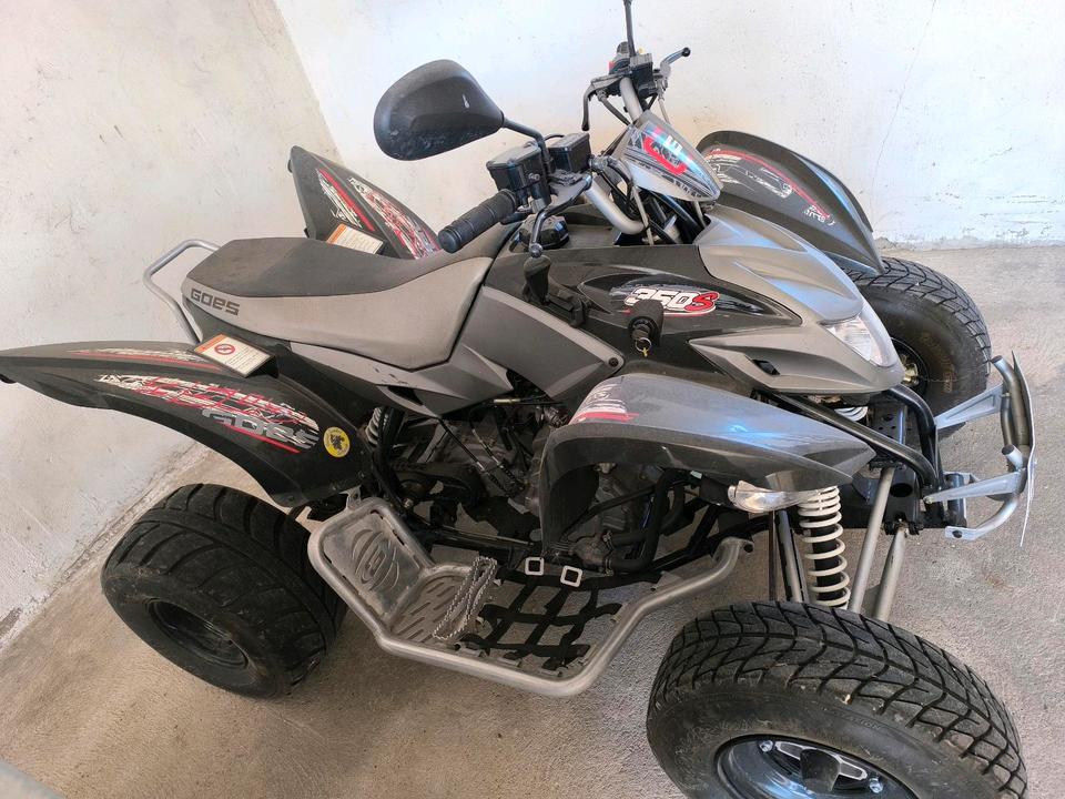 Quad, ATV, Goes 350 S 2012 — vehicle for AFU Ukraine