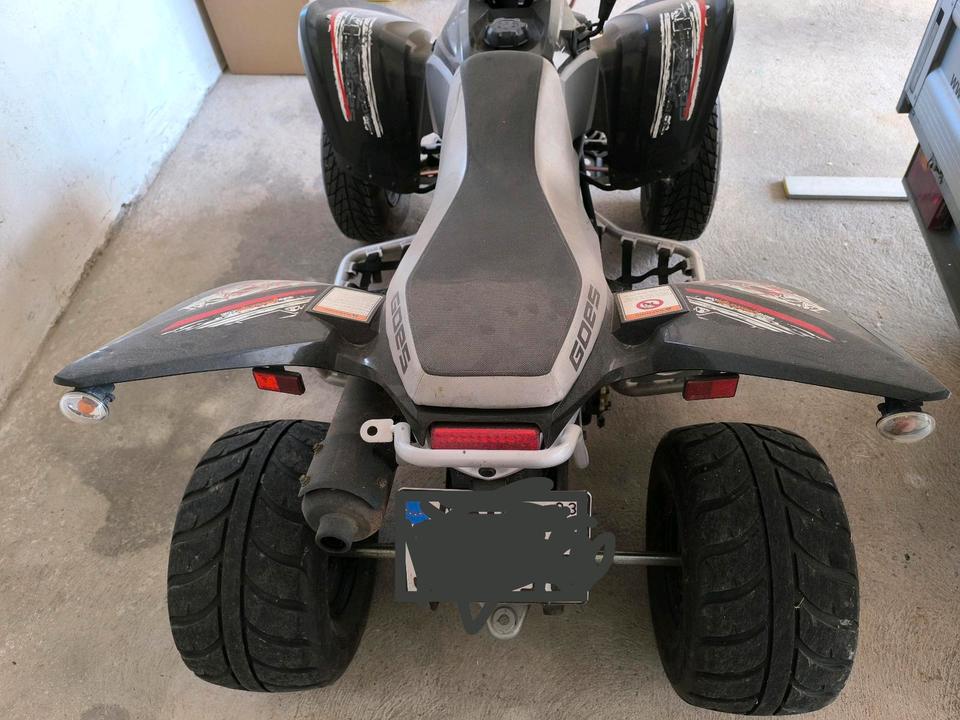  Quad, ATV, Goes 350 S 2012 — rear view