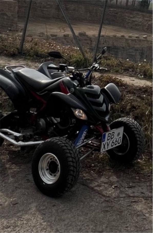 Yamaha RAPTOR 660R | 48 PS | NUR 4.526 KM 2005 — rear view