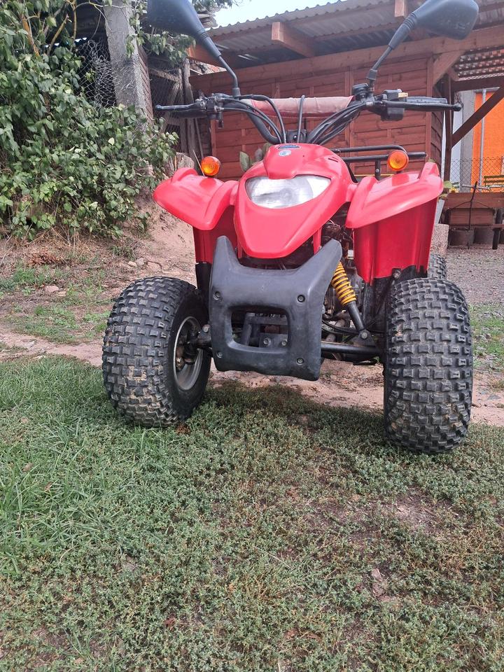 Weitere Motorräder Adly 50 Quad Straßenzulassung 2004 — rear view