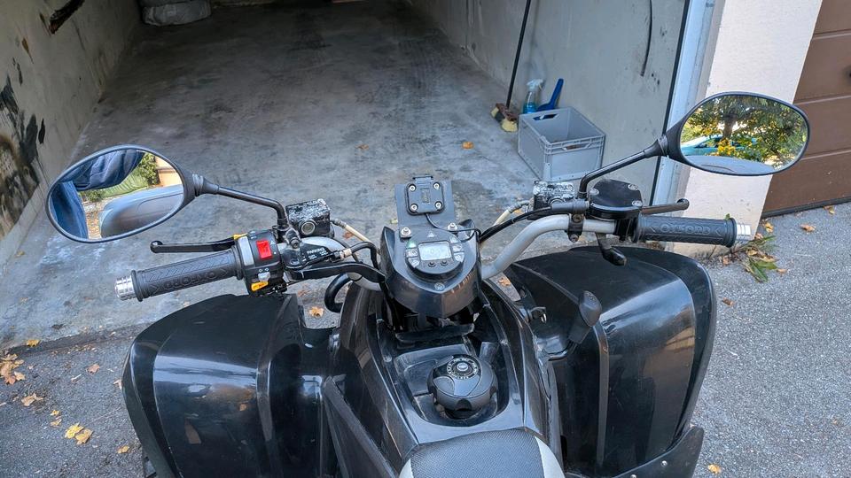  Quad Aeon Cobra 400 2012 — rear view