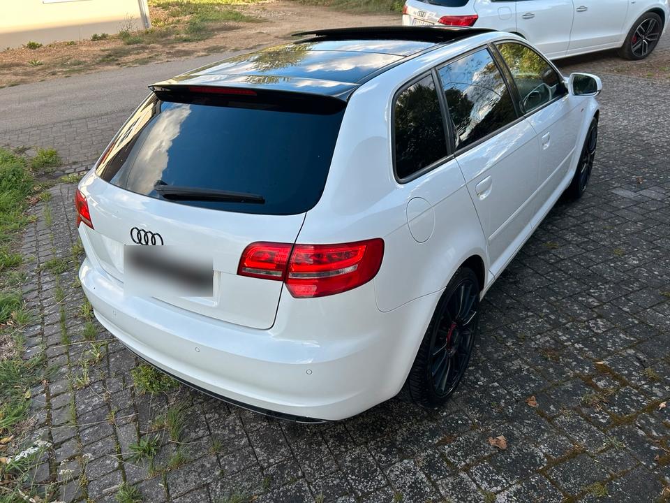 Audi A3 2011 — photo 19