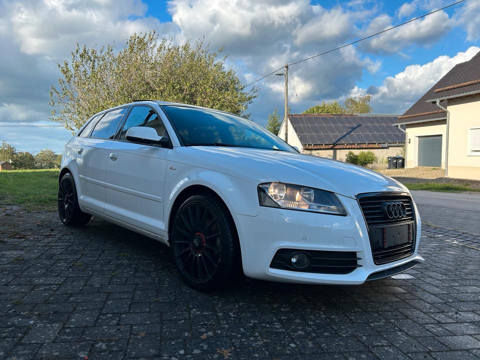 Audi A3 2011 — rear view