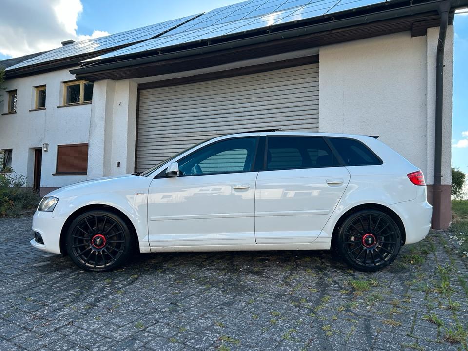 Audi A3 2011 — photo 5