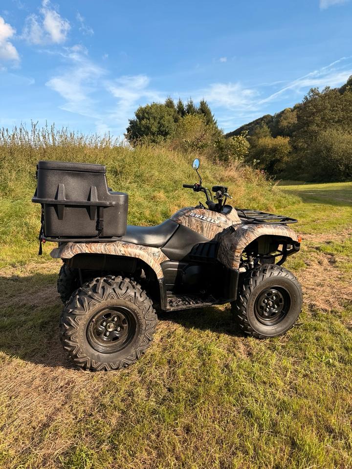 Yamaha Grizzly 660 4x4 – Straßenzulassung – gepflegt, 2006