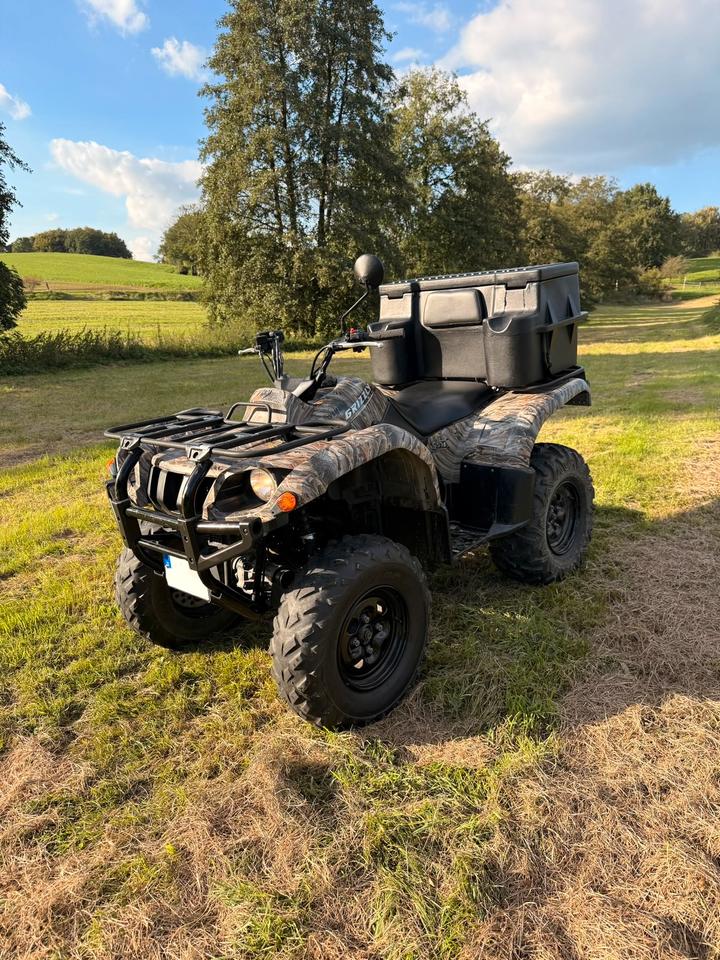 Yamaha Grizzly 660 4x4 – Straßenzulassung – gepflegt 2006 — photo 5