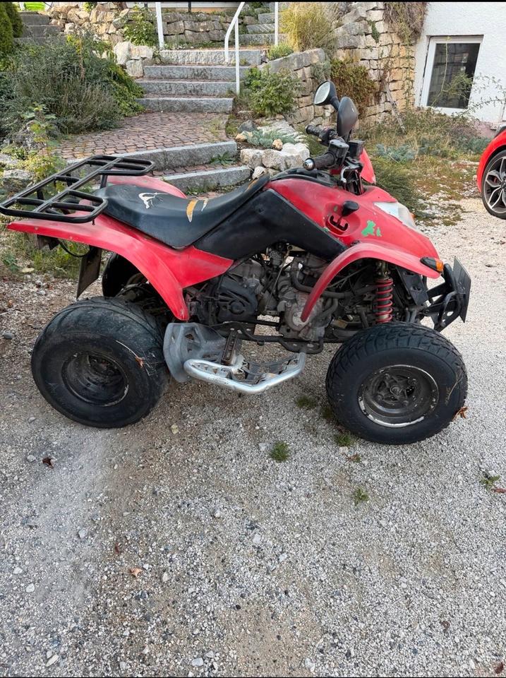 Kymco Quad Kymco 250ccm 2007 — rear view