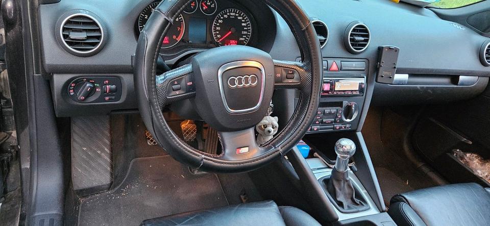 Audi A3 2005 — photo 9