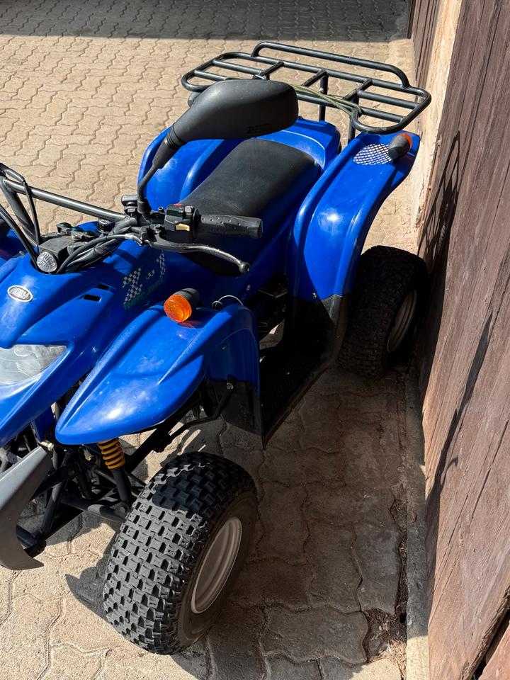 Weitere Motorräder Quad von Edly 2005 — rear view
