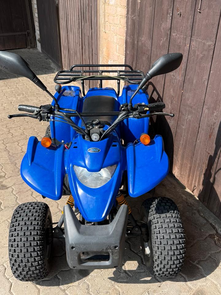 Weitere Motorräder Quad von Edly 2005 — engine 50 ccm