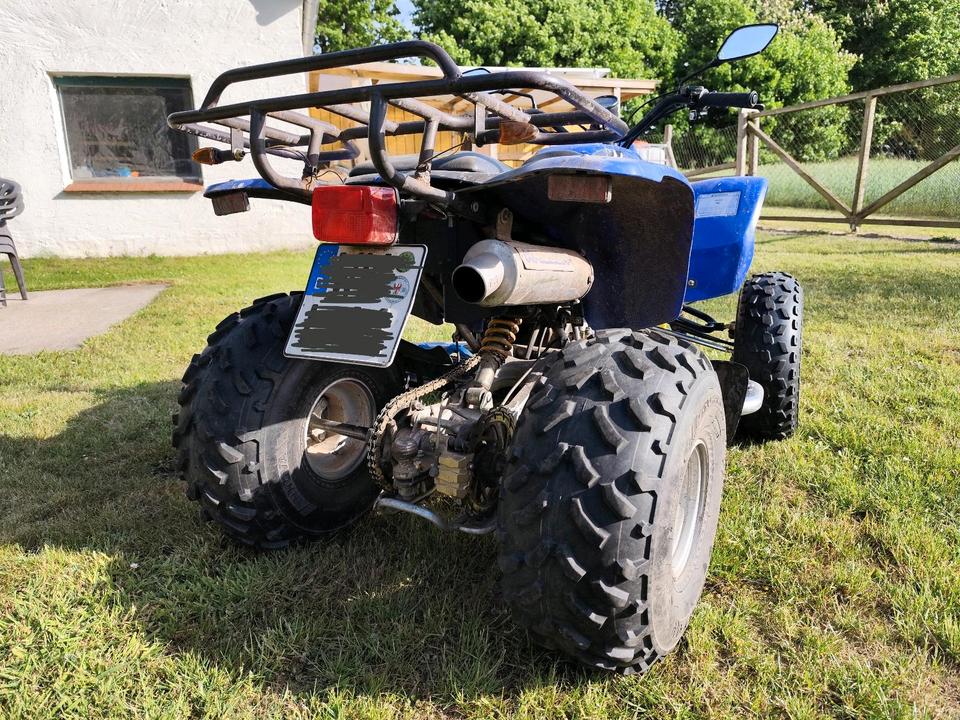 Weitere Motorräder Quad SMC Barossa 163fml Lifan 200ccm 2004 — rear view