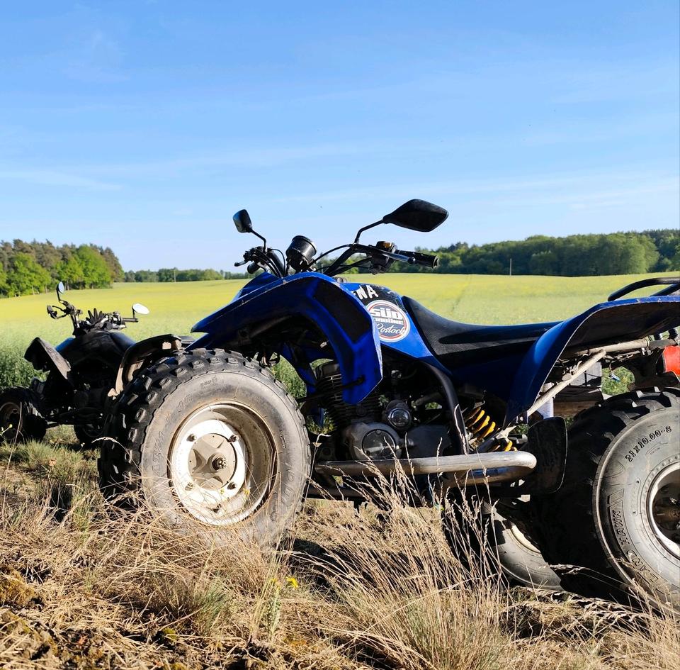 Weitere Motorräder Quad SMC Barossa 163fml Lifan 200ccm 2004 — interior