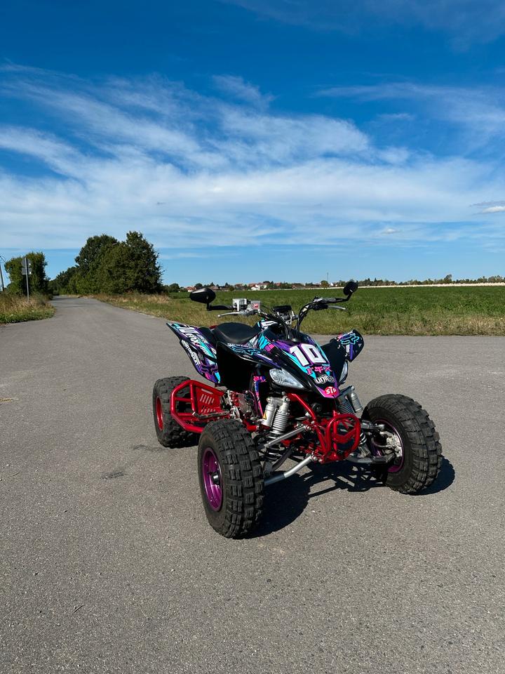 Yamaha Yfz 450 Quad LOF Zulassung 2008 — вигляд ззаду