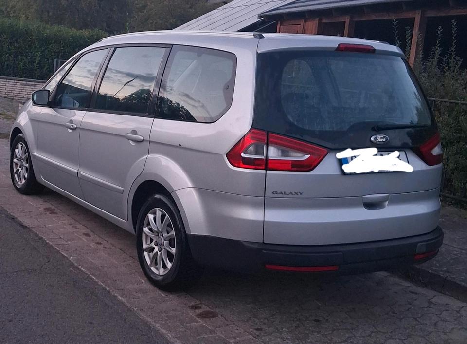 Ford S-Max 2010 — вигляд ззаду