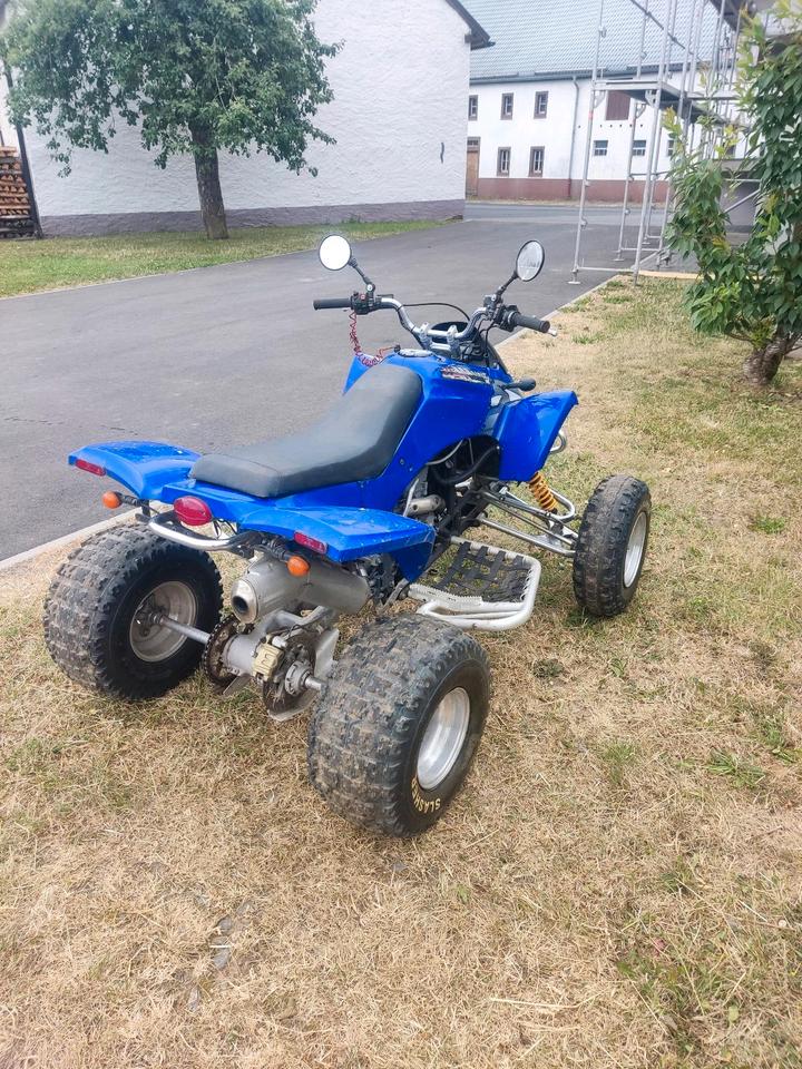 Weitere Motorräder Gelöscht • Gasgas Quad HP Wild 450 2004 — interior