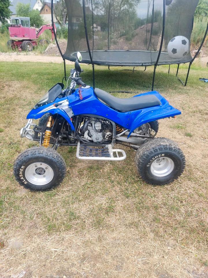 Weitere Motorräder Gelöscht • Gasgas Quad HP Wild 450 2004 — engine 450 ccm
