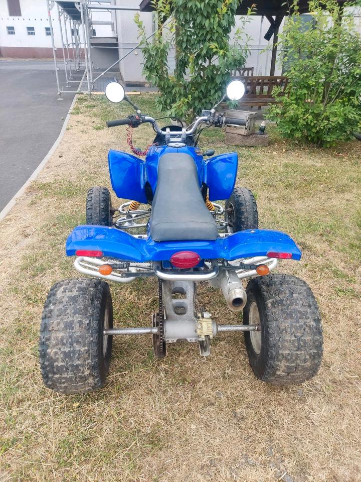 Weitere Motorräder Gelöscht • Gasgas Quad HP Wild 450 2004 — photo 5