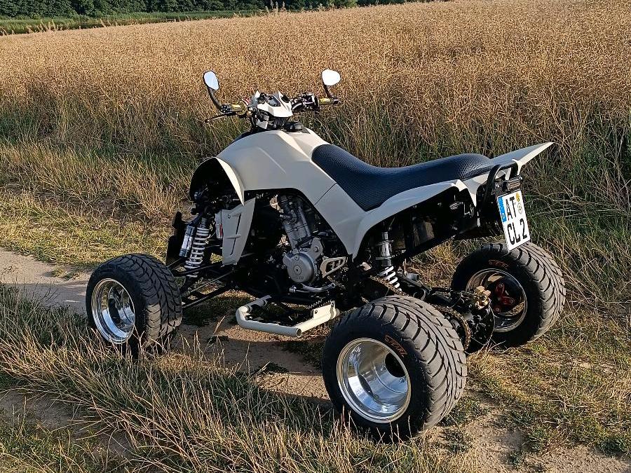  Dinli 901 450 mit Lof Zulassung (Tausch möglich, kein Motorrad) 2014 — rear view