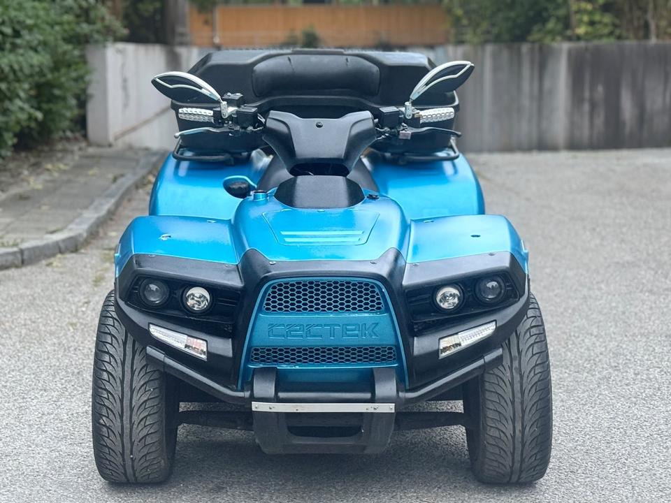 Weitere Motorräder Gelöscht • CECTEK GLADIATOR 500 2009 — rear view