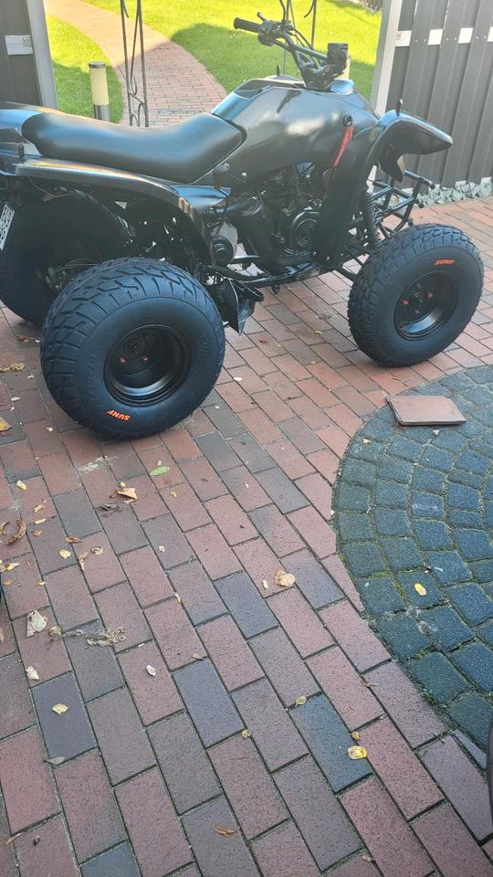 Weitere Motorräder Gelöscht • Mein Quad Adly Herkules 2004 — vehicle for AFU Ukraine