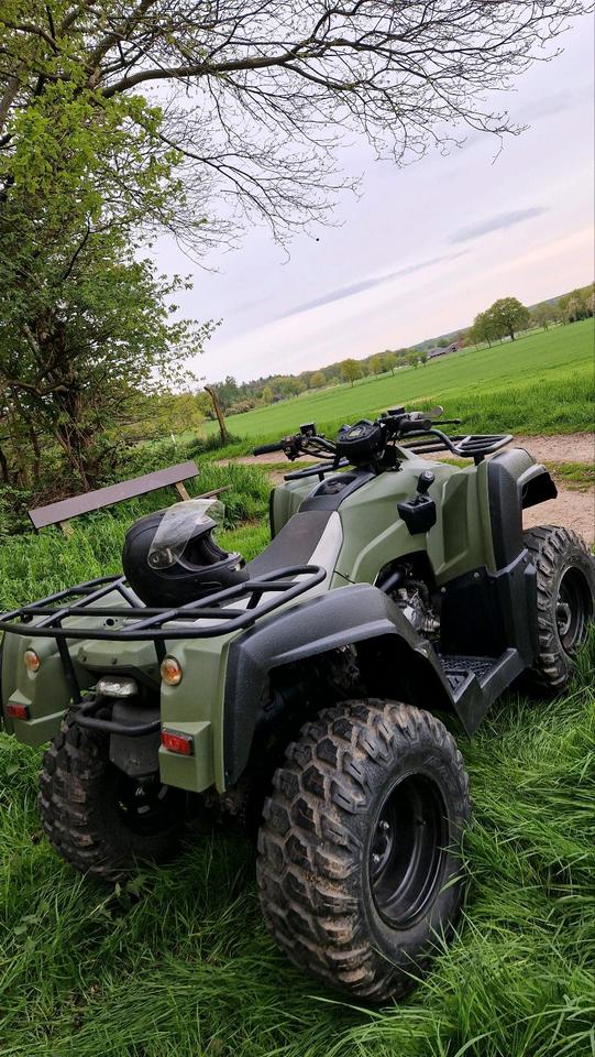  Adly Canyon 320 ATV Quad 2015 — engine