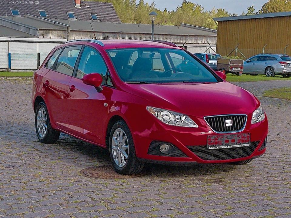 Seat Ibiza 2011 — engine