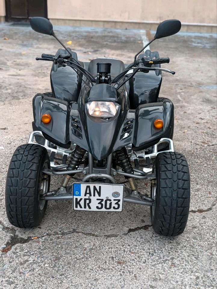 Weitere Motorräder SMC RAM / Barossa 250 Quad 2004 — interior