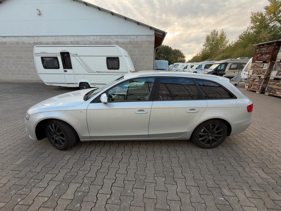 Audi A4 2008 — вигляд ззаду