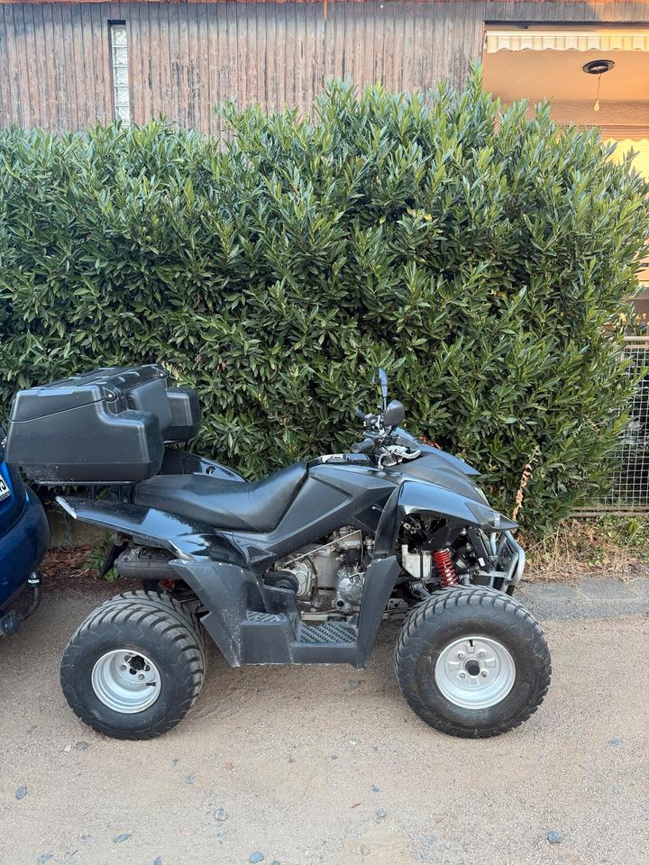 Weitere Motorräder Her Chee (Adly Moto) Quad 2008 — вигляд ззаду
