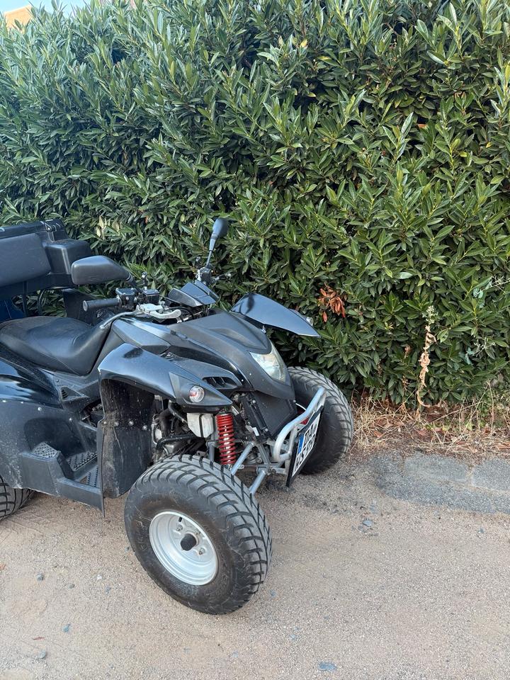 Weitere Motorräder Her Chee (Adly Moto) Quad 2008 — салон