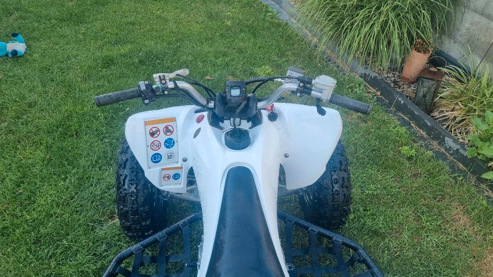 Yamaha Raptor 250r YFM 2011 — engine 250 ccm