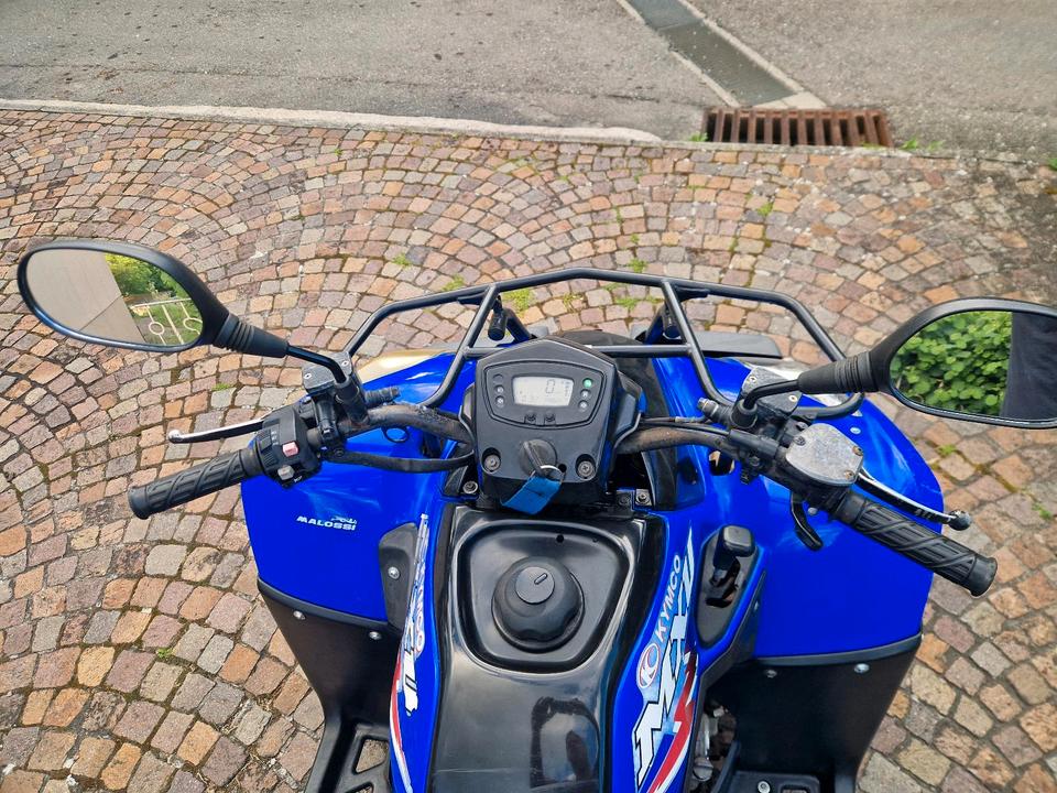 Kymco MXU 250 Quad 2005 — rear view