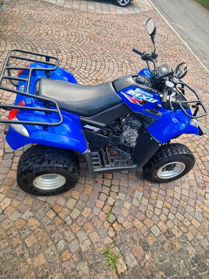 Kymco MXU 250 Quad 2005 — engine 250 ccm