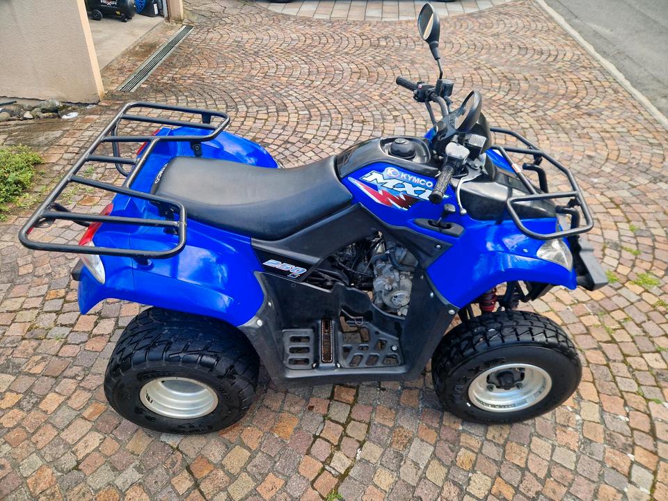 Kymco MXU 250 Quad 2005 — photo 7