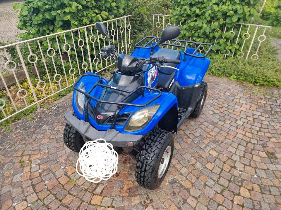 Kymco MXU 250 Quad 2005 — photo 8