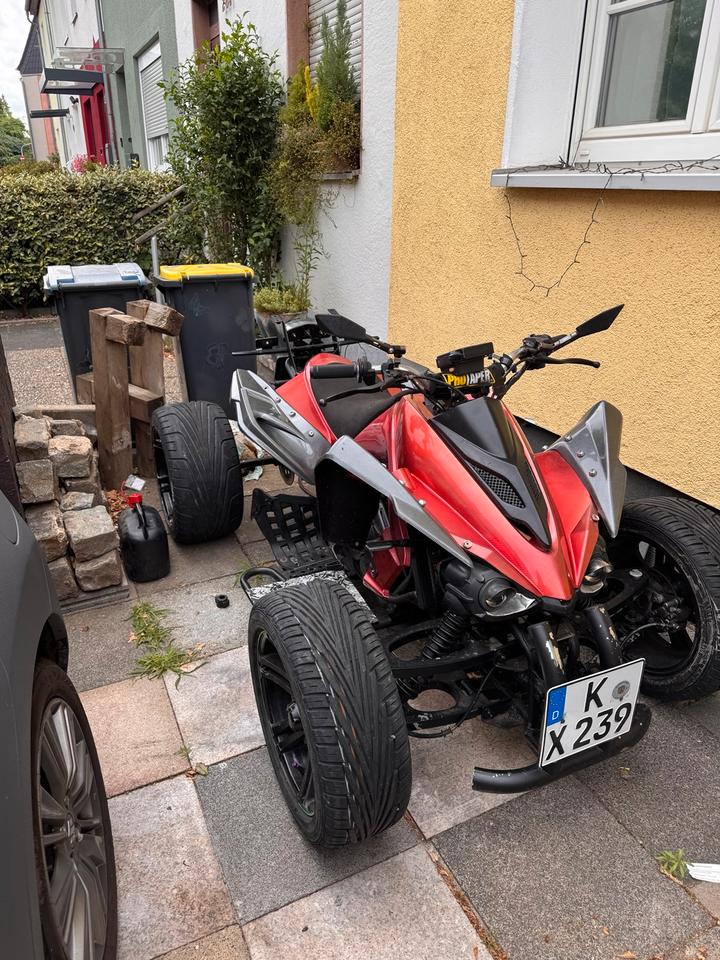  Gelöscht • Jinling JLA-21B 250 ccm – TÜV bis 07/2027 2009 — rear view