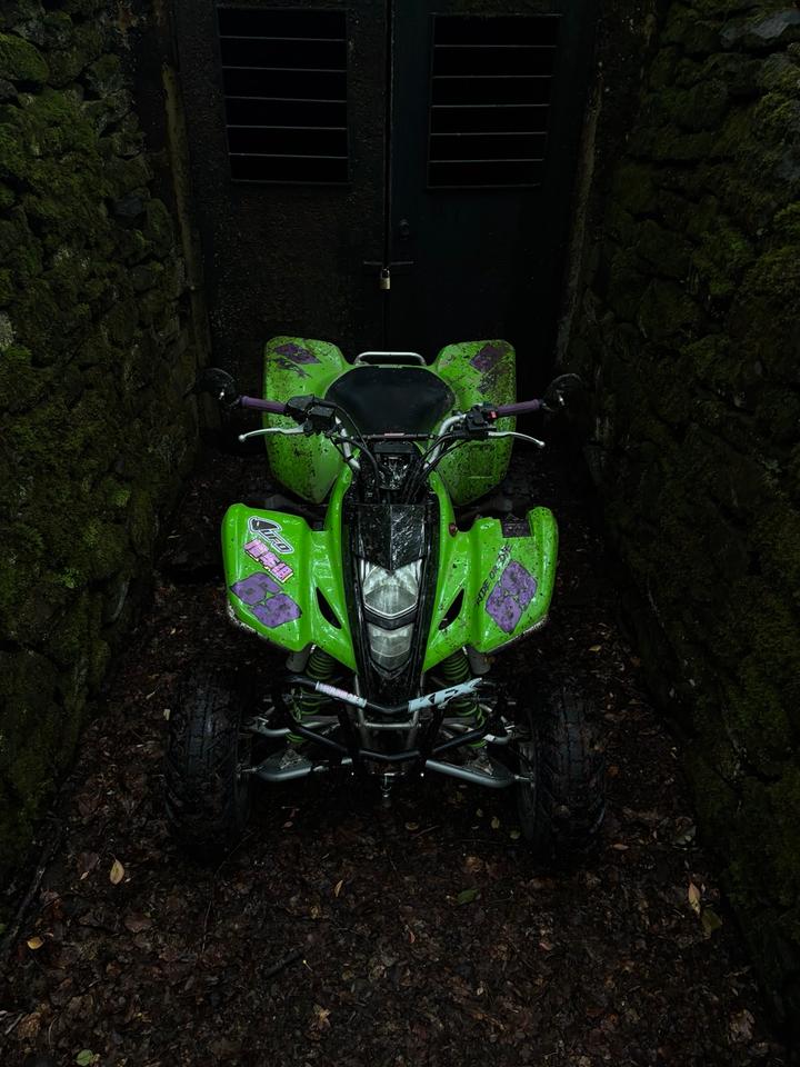 Kawasaki kfx400 ltz400 lof Tausch neu tüv 2007 — вигляд ззаду