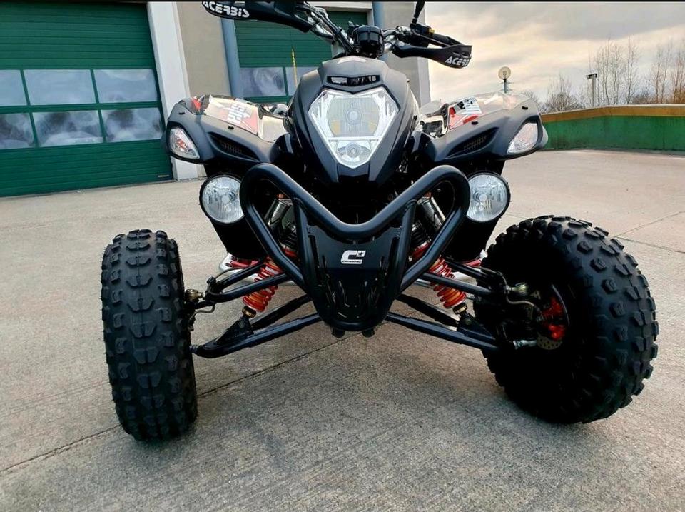 Weitere Motorräder Gelöscht • Beeline Bestia 5,5 2013 — вигляд ззаду