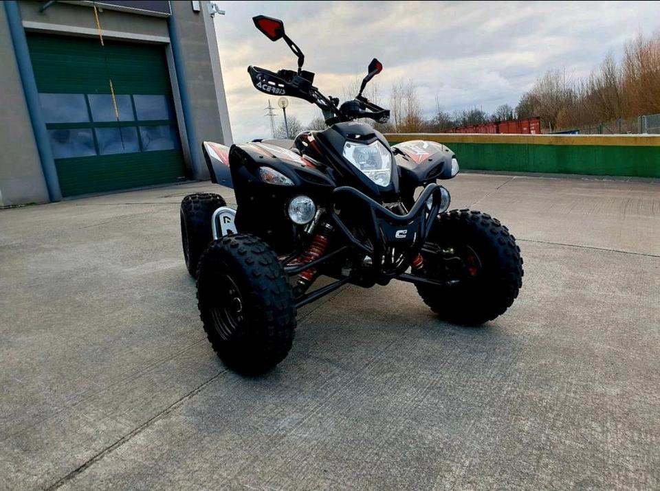 Weitere Motorräder Gelöscht • Beeline Bestia 5,5 2013 — салон