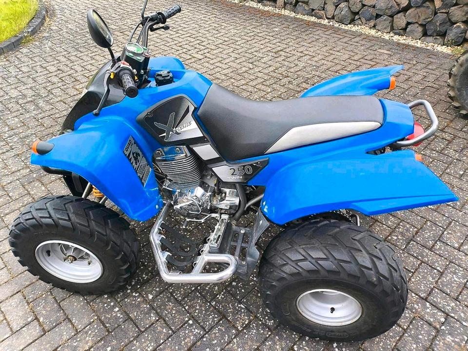 Honda Quad SMC 250 Twin Extreme 2 Zylinder, 2006