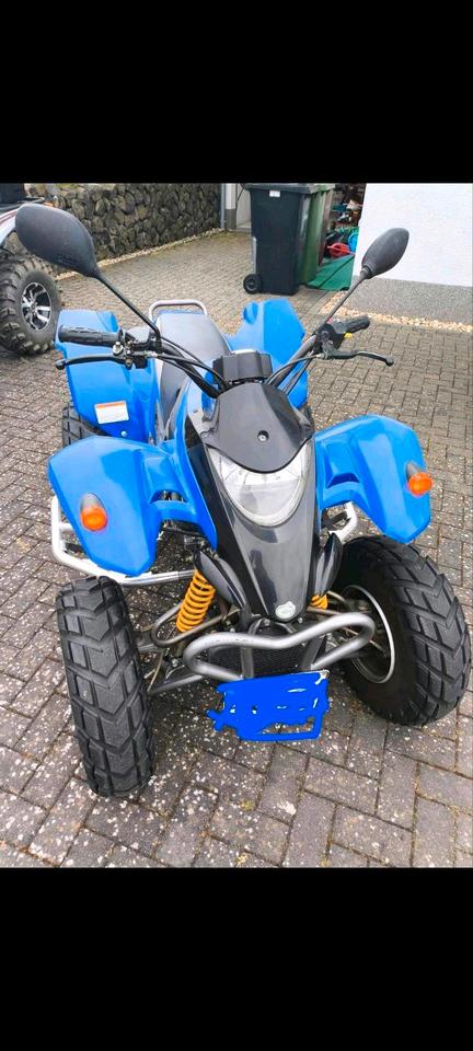 Honda Quad SMC 250 Twin Extreme 2 Zylinder 2006 — photo 12