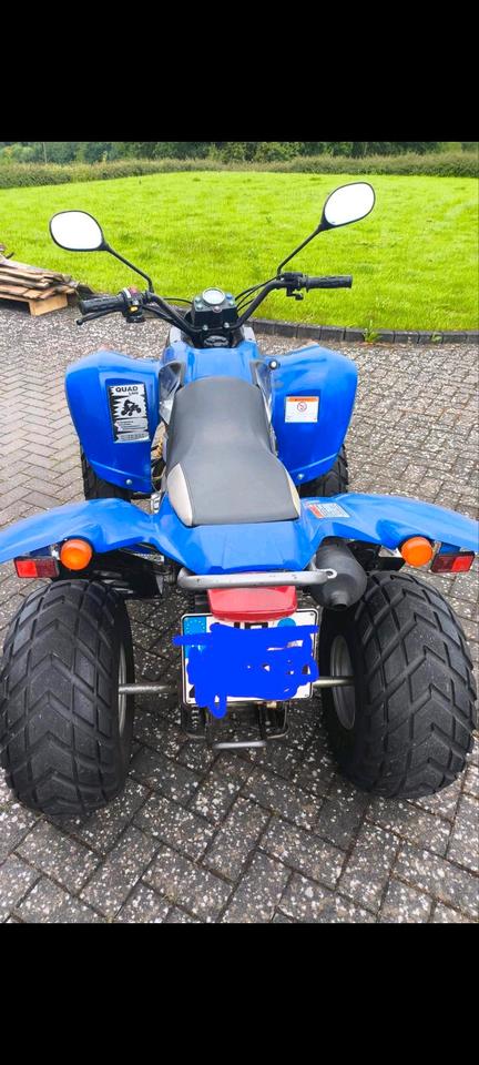 Honda Quad SMC 250 Twin Extreme 2 Zylinder 2006 — photo 13
