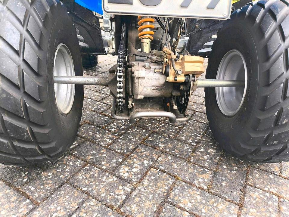Honda Quad SMC 250 Twin Extreme 2 Zylinder 2006 — rear view