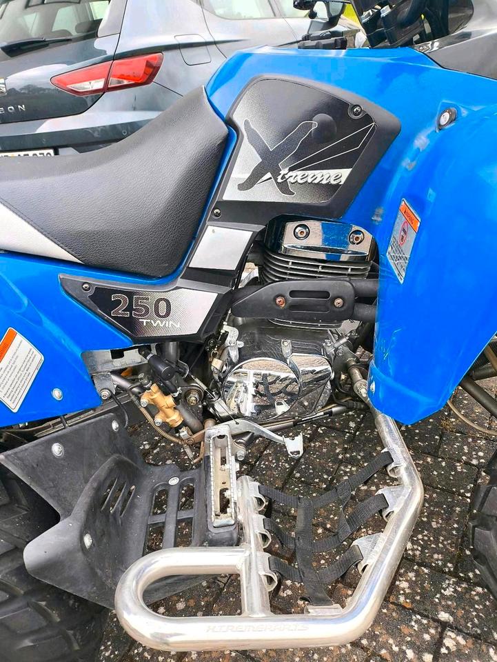 Honda Quad SMC 250 Twin Extreme 2 Zylinder 2006 — interior