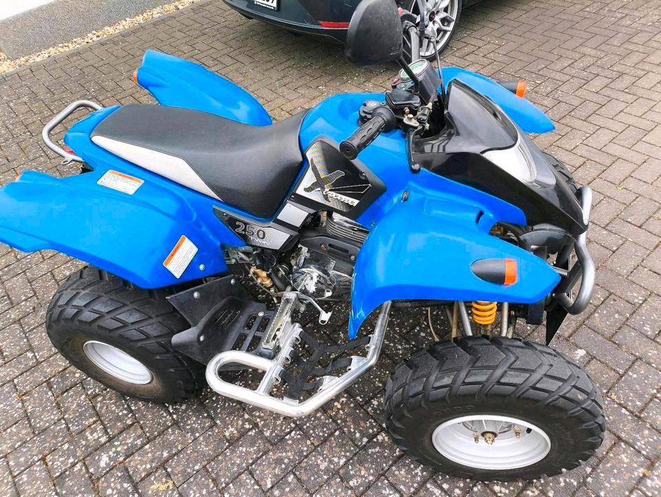 Honda Quad SMC 250 Twin Extreme 2 Zylinder 2006 — engine 234 ccm