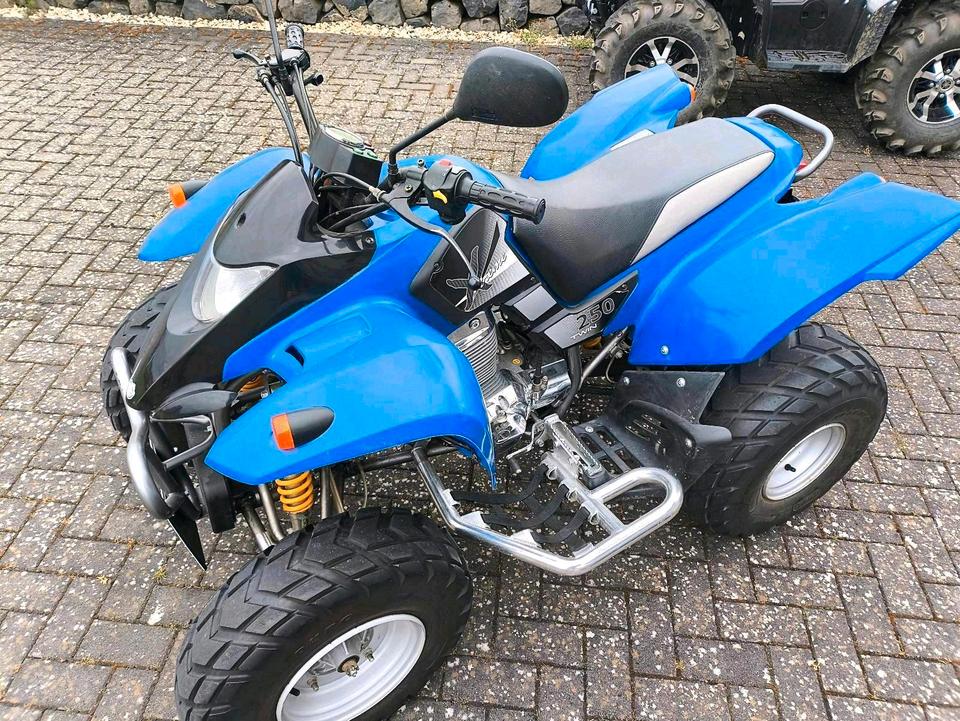 Honda Quad SMC 250 Twin Extreme 2 Zylinder 2006 — photo 5